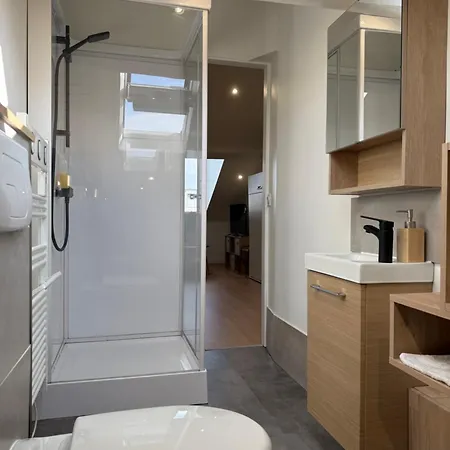 Apartment Secteur Rives De Meurthe *