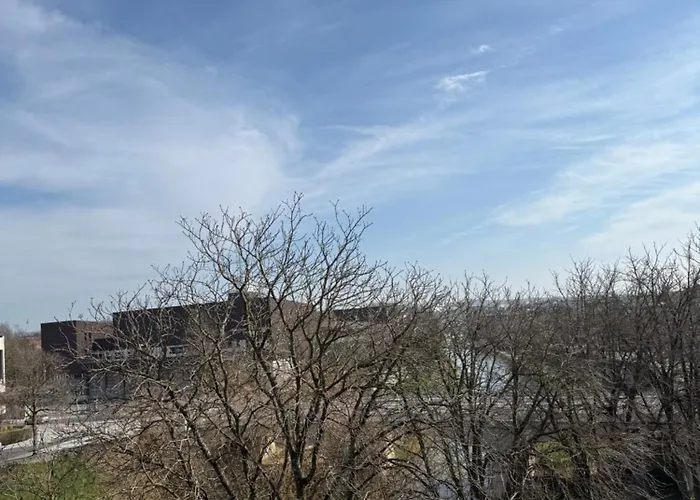 Apartament Secteur Rives De Meurthe Nancy