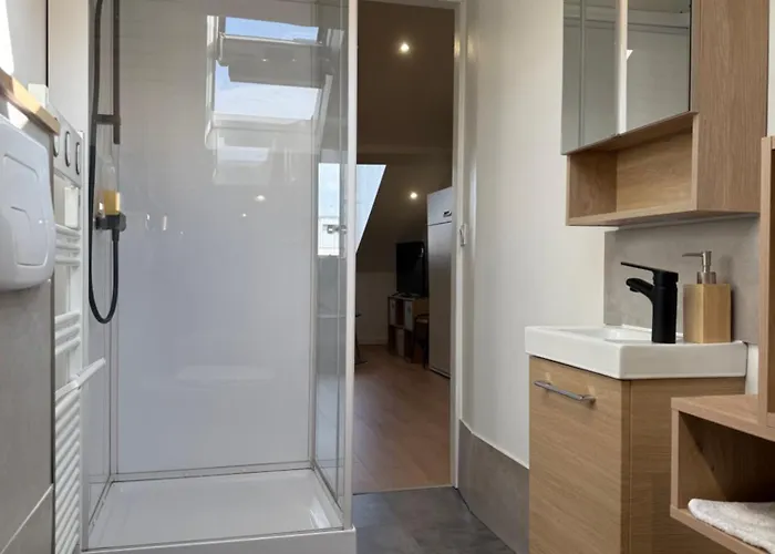 Apartament Secteur Rives De Meurthe *